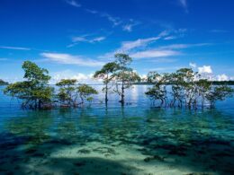 Andaman and Nicobar Islands 2
