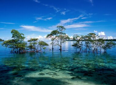 Andaman and Nicobar Islands 2