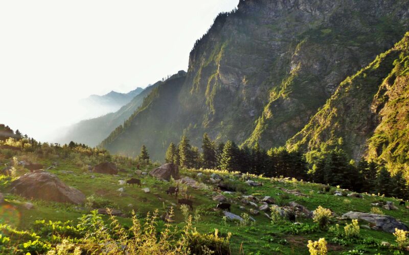 Kheerganga trek