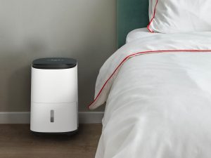 What Are the Benefits of Purchasing Small-Sized Dehumidifiers