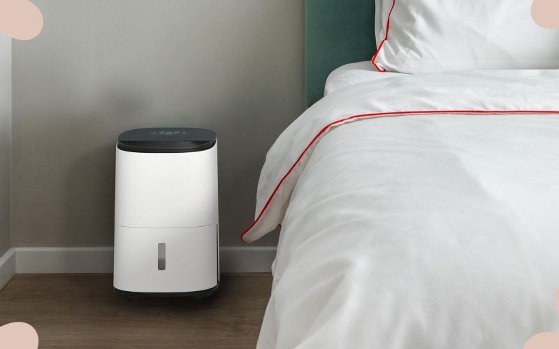 What Are the Benefits of Purchasing Small-Sized Dehumidifiers